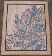 pheasant 1