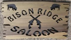 bison ridge