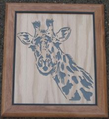 giraffe