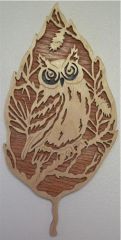 Owl In A leaf For Brooke
