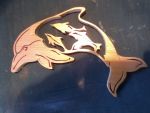 dolphin (2)