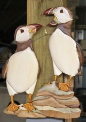 Puffins