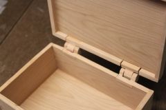hinge2