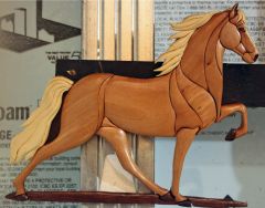 walking horse