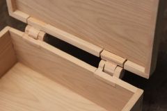 hinge1