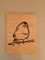 bird On A wire