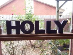 HOLLY