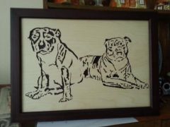 Dogs