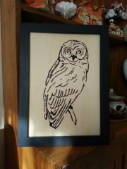 Who Me  (Owl)