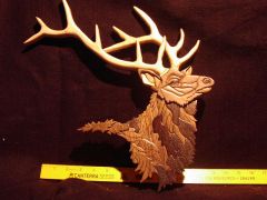 Elk