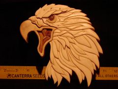 Eagle HEad