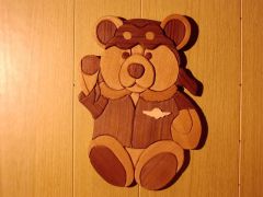 Flight Bear