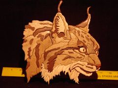 Lynx