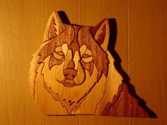 Wolffirst