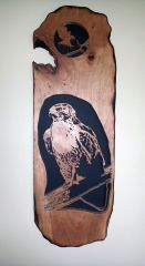 Hawk