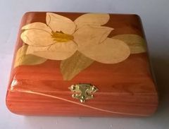 Rounded sides Box