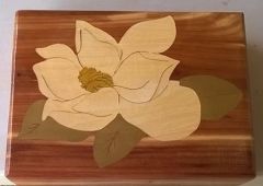 Magnolia Blossom