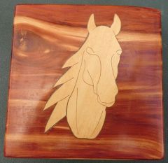Horse facing front