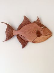 Trigger Fish