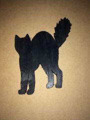 Black cat