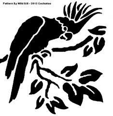 Cockatoo