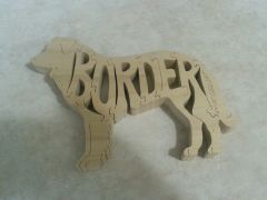 Border Collie