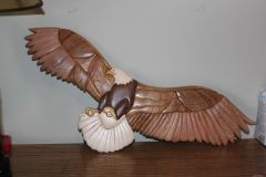 soaring eagle