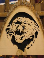 Cougar in Basswood #2