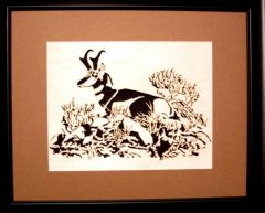 Antelope   Mat Grn