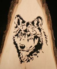 Wolf in Basswood