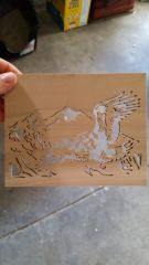 eagle poplar