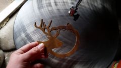 Elk