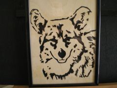 corgi