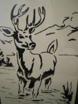 Wildlife