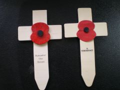 rememberance sunday poppys