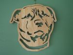 staffy (Pip)