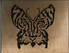 Tiger Butterfly