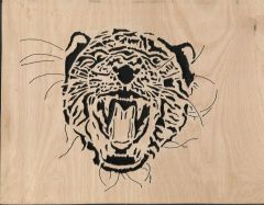 wild Cat