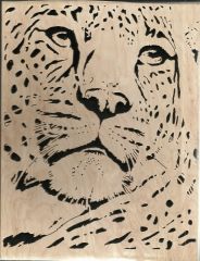 leopard
