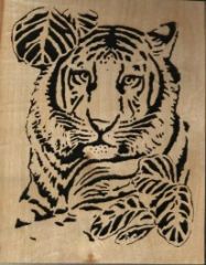 leaf tiger
