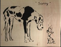 sorry