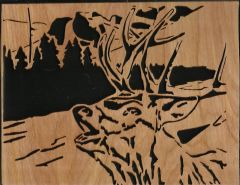 Deer