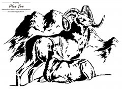 Rams