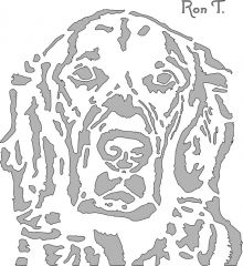 Dog 1 for Roger