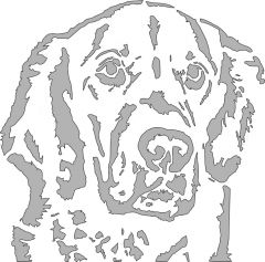 Dog 2 for Roger