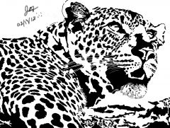Lepard PattERN