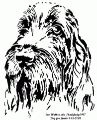 Jimbo's Dog