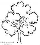 Oak Tree