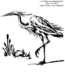 Heron