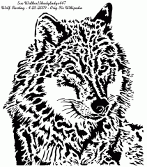 Wolf Resting